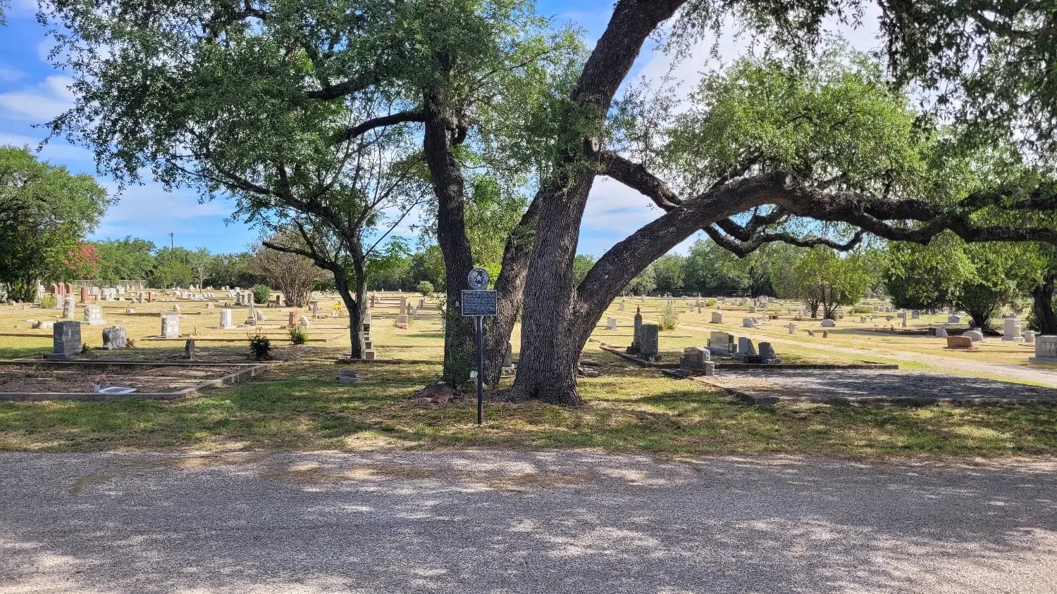 The Historic Texas Cemetery marker on its post beneath a spreading live oak, with the curbed lots of the historic section stretching away behind it.